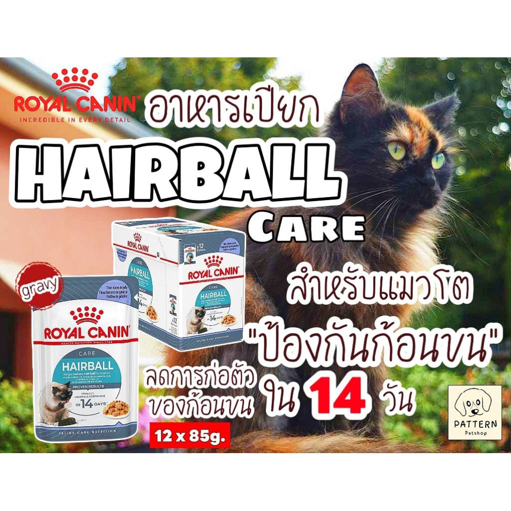 Royal canin Hairball Care Gravy อาหารเปียกสำหรับแมวโตอายุ 1 ปีขึ้นไปที่ต้องการดูแลปัญหาก้อนขน