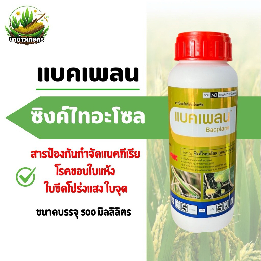 แบคเพลน ซิงค์ไทอะโซล 500 ซีซี ป้องกันกำจัดแบคทีเรีย โรคขอบใบแห้ง ใบขีดโปร่งแสง ใบจุด โรคแคงเกอร์