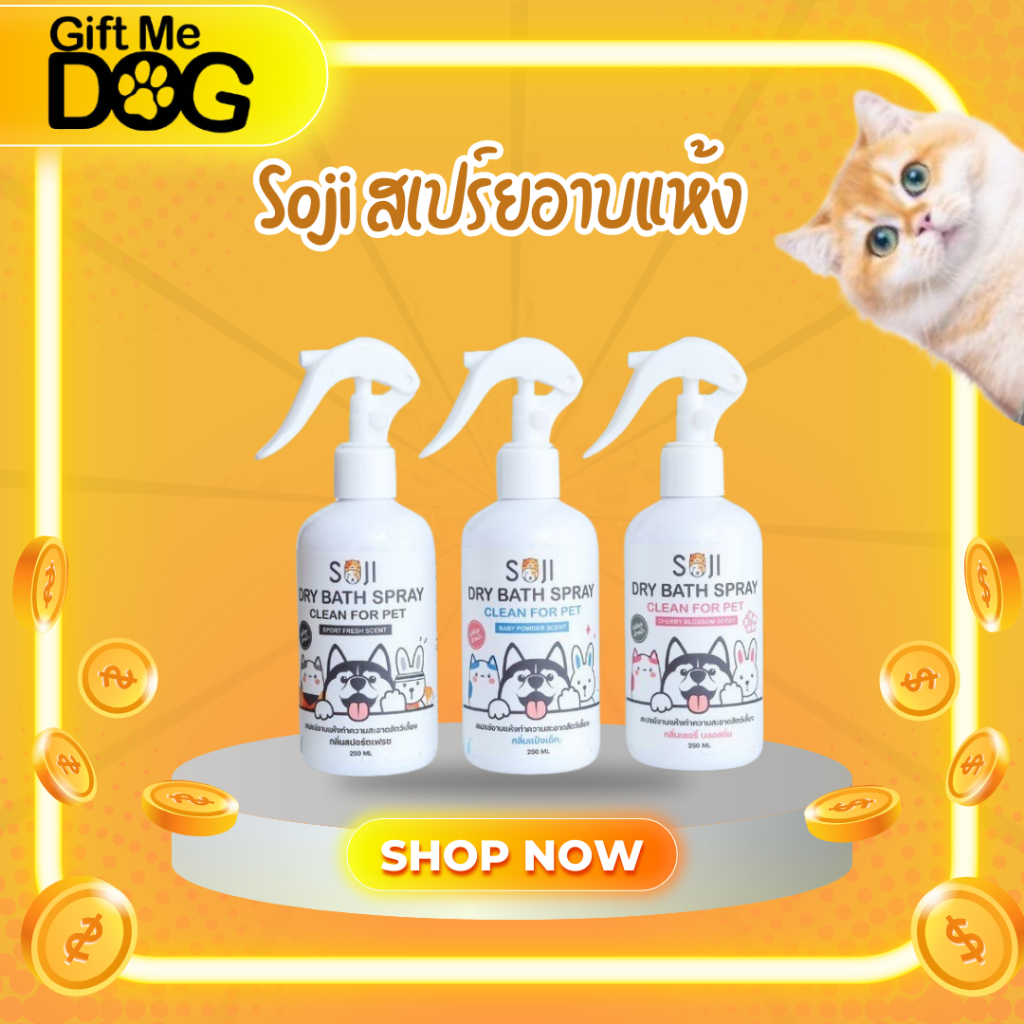 Soji โซจิสเปร์ยน้ำอาบแห้งสัตว์เลี้ยง สูตรสารสกัดพรีเมี่ยม รุ่นขวดสเปร์ย ขนาด 250ml