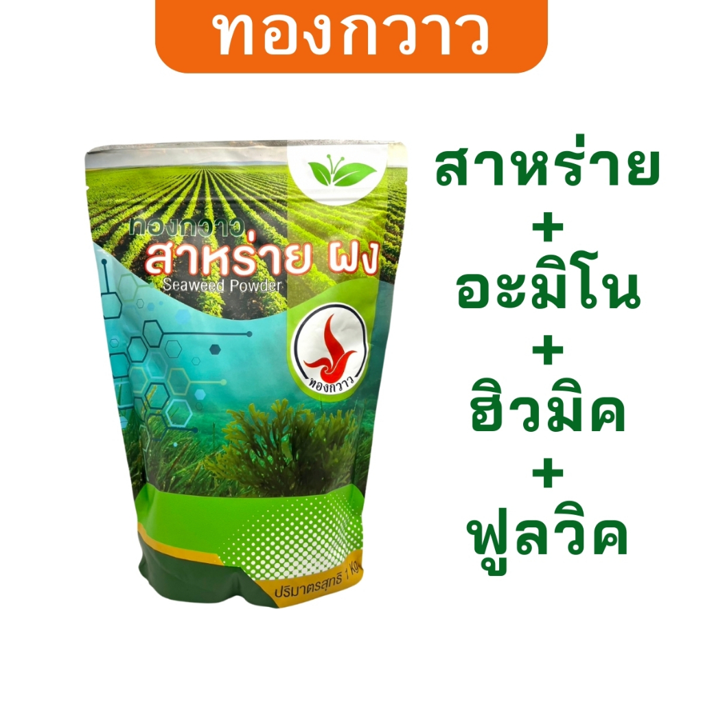 สาหร่าย อะมิโน ฮิวมิค ฟูลวิค ทองกวาว บำรุงพืชครบวงจร เพิ่มผลผลิต