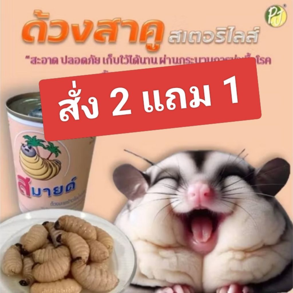 ด้วงชีสสเตอริไลส์ (ผ่านการฆ่าเชื้อโรค) สั่ง 2 แถม 1 อาหารชูการ์ เม่นแคระ ให้โปรตีนสูง สะอาด ปลอดพยาธิ ปราศจากกันเสีย