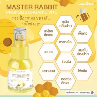 Master Rabbit Propolis โพรโพลิสเด็ก สเปรย์พ่นคอ สเปรย์ดูแลช่องปาก ใช้ได้ตั้งแต่เด็ก 6 เดือนขึ้นไป