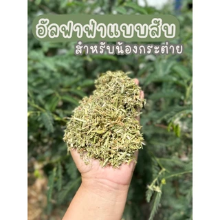 อัลฟาฟ่าสับโปร3กก ร่อนฝุ่นพิเศษ ออสเตรเลีย หญ้ากระต่าย แนะนำสำหรับกระต่ายเแพ้ฝุ่น ถุกที่_สุ.ดในซอปปี