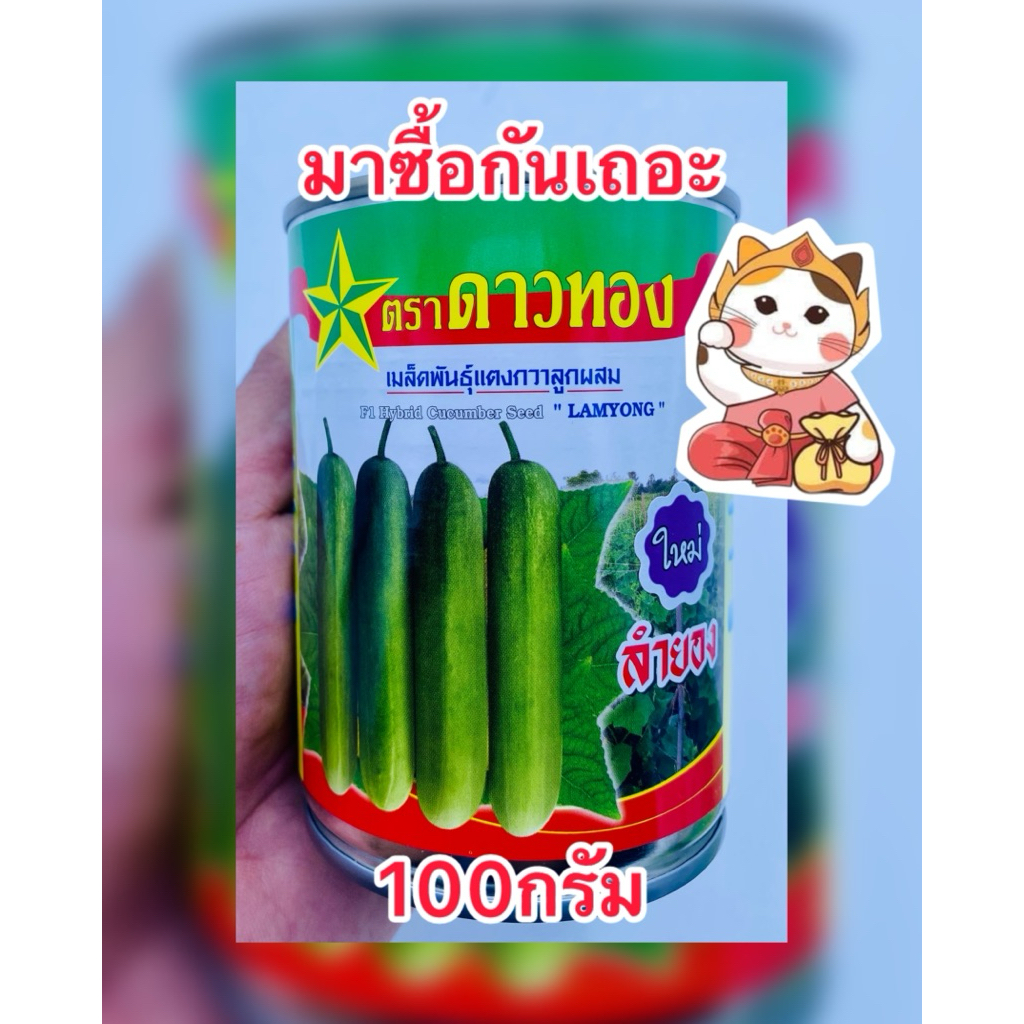 ลำยอง ใหม่ เมล็ดแตงกวา ตราดาวทอง (สิ้นอายุ 09/2570,อัพเดท05/2569) บรรจุ100กรัม/กระป๋อง