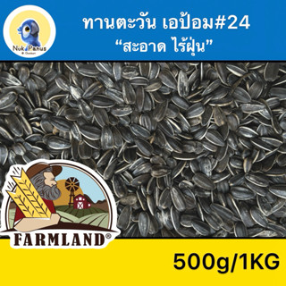 Farmland ทานตะวันเอป้อม มอนทาน่า #24 อาหารนกแก้ว คัดเกรด ไซด…