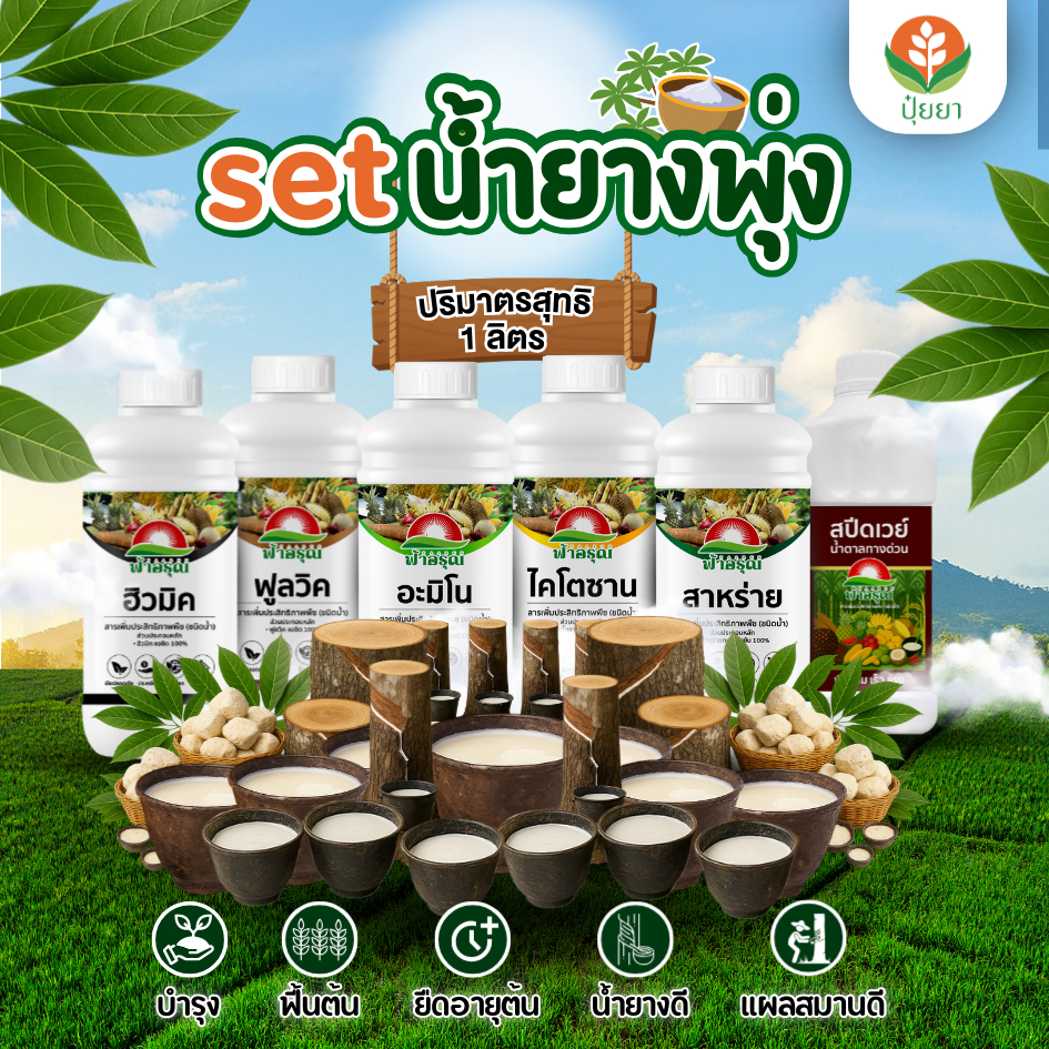 Set ฟื้นต้นยาง  บำรุง ฟื้นต้น ยืดอายุต้น ใบเพสลิ่งสวย ยืดอายุต้นได้นาน ขวดละ 1 ลิตร คุ้มสุด จัด set มาให้แล้ว