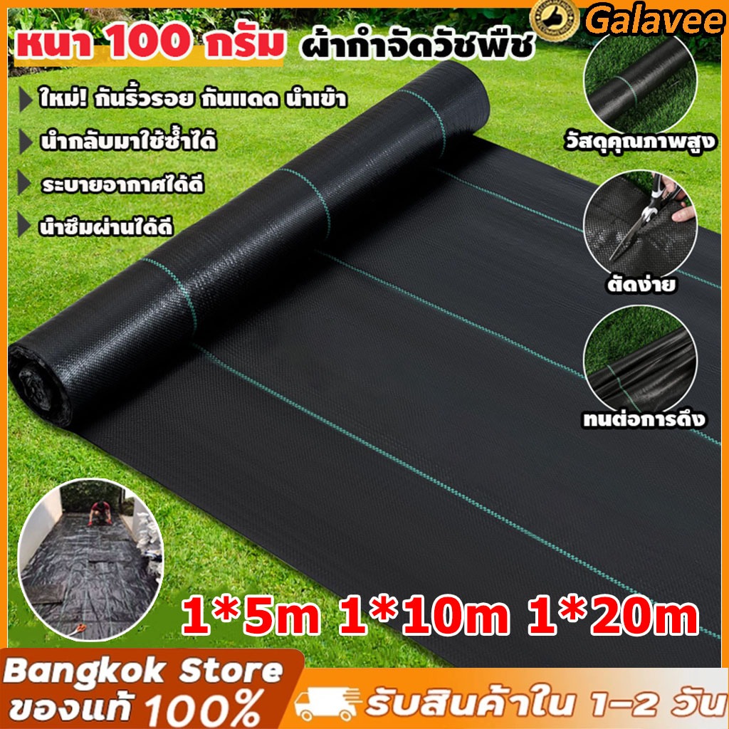 ผสมUV ฆ่าหญ้า 2 พลาสติกคลุมดิน ผ้าคลุมหญ้า พลาสติกคลุมวัชพืช กำจัดวัชพืช ผ้าคลุมวัชพืช พลาสติกเกรดส่งออก Field selection