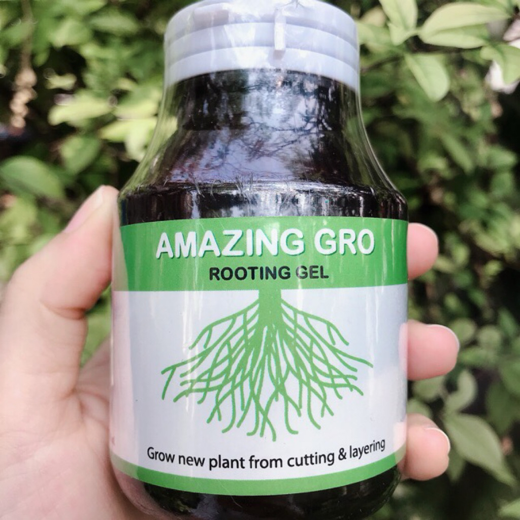 (พรีออร์เดอร์) เจลเร่งราก Amazing Gro ของแท้