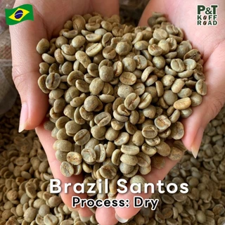 [พร้อมส่ง] สารกาแฟ Brazil Santos NY2 Green Bean รวม บรรจุ 500g - 1 kg. P&T KoffRoad