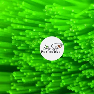 🌿Mountain Tree Star Filter Brush✨ ที่กรองตะกอนละเอียด ฝุ่น และของเสียขนาดเล็ก (หัว2เกลียว)