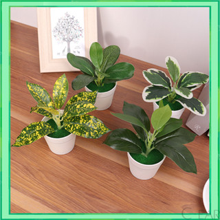 18cm ใบไม้สีเขียว กระถางต้นไม้ พืชเทียม ดอกไม้ปลอม ของตกแต่ง…