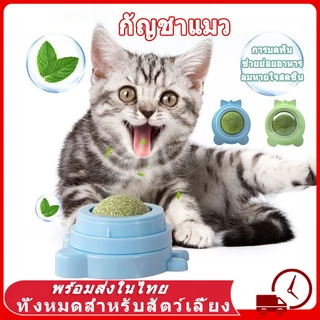 กัญชาแมว แคทนิปบอล ติดกำแพง ไม่กลิ้งหาย หญ้าแมว กันชาแมว กัญชาเเมว แคทนิปแมว catnip ball กันชาแมวส่งฟรี กัชชาแม กันชาแมว