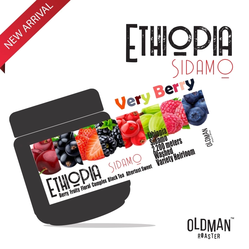 เมล็ดกาแฟ ETHIOPIA SIDAMO " VERY BERRY " (คั่วอ่อน) LIGHT by OLDMAN ROASTER