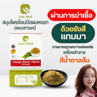 สมุนไพรย้อมหงอก 6 สี ผ่านแกมมาฆ่าเชื้อจุลินทรีย์ ผงพืชล้วน ไร้เคมี 100% จัสต์ เฮิร์บ Just Herb