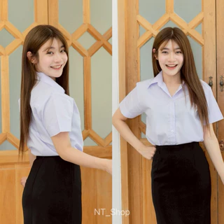🎊เสื้อนักศึกษาเข้ารูปแขนสามเหลี่ยม/หลังสามเหลี่ยม(ทรงมหิดล)รอบอก”32-56”[ผ้าคอมทวิว]