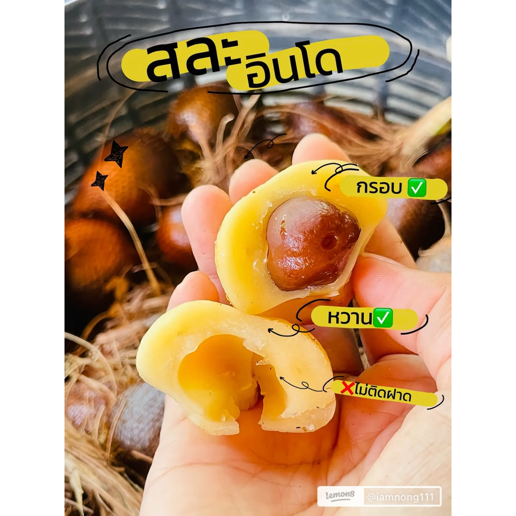📌📌สละอินโด จากปักต์ใต้ หวาน กรอบ อร่อย 1 กิโลกรัม ราคาถูกกกกมาก✅✅✅