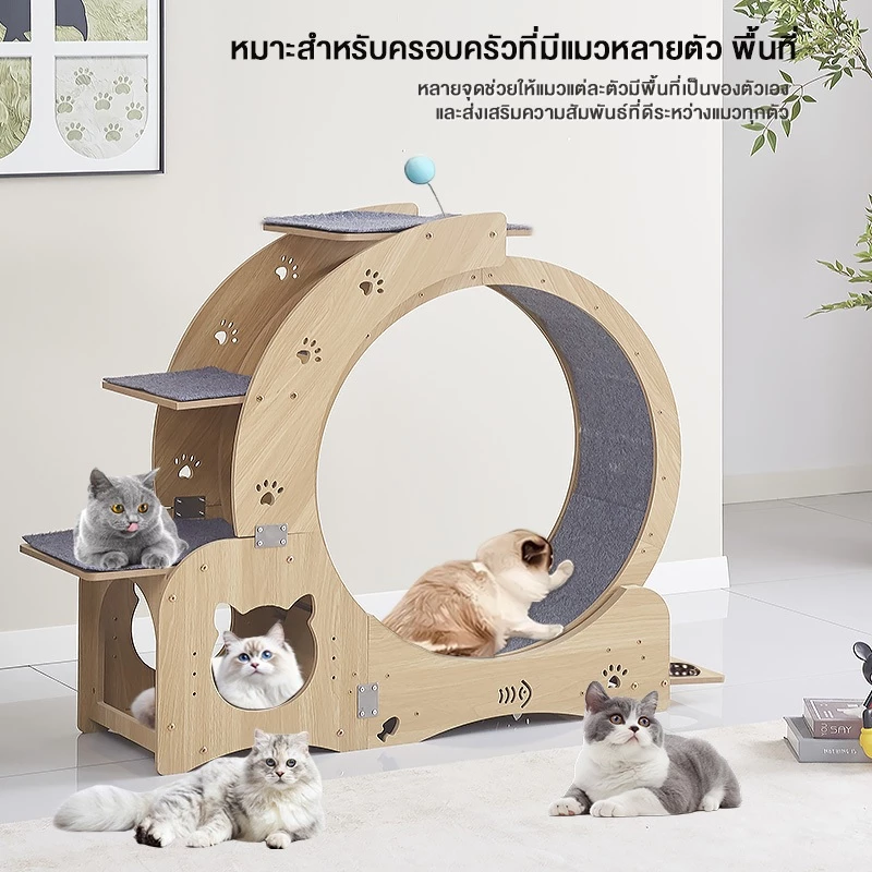 F&Gลู่วิ่งแมว Cat Track ลู่วิ่งแมวไม้ ล้อวิ่งหลายฟังก์ชัน มีพื้นที่ปีนป่าย การออกกำลังกายของแมว รับน้ำหนักได้สูงสุด80kg