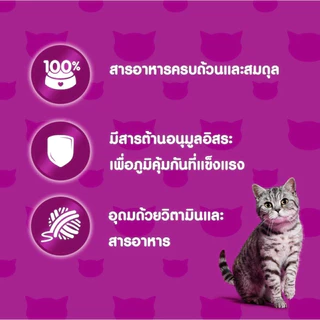 {FS} Whiskas วิสกัส เพาซ์ ยกโหล14ซอง อาหารเปียกแมว มีให้เลือกครบทุกรสชาติ