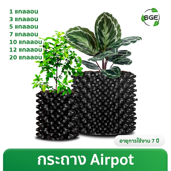 กระถางต้นไม้ กระถางดอกไม้ Air Pot พลาสติก เกรด HDPE  ของแท้จาก SGE!!!