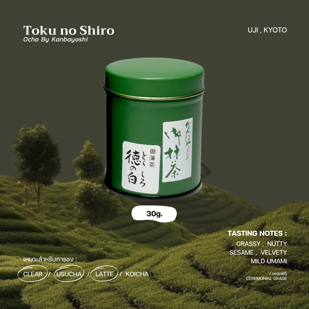 มัทฉะเกรดพิธี 🍃🌰🌸"Toku no Shiro" - OCHA NO KANBAYASHI