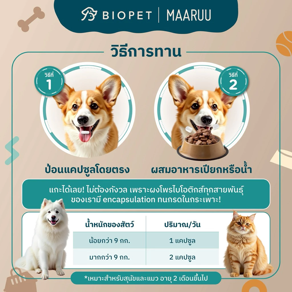 Biopet PetFlow Probiotics  สูตร Digestive ปรับสมดุลลำไส้ ลดท้องเสีย ลดกลิ่นอุจจาระ โพรไบโอติกส์สำหรับสัตวเลี้ยง หมา แมว thumbnail 6