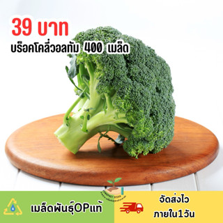 เมล็ดพันธุ์บร็อคโคลี่วอลทัม บรรจุ 400 เมล็ด