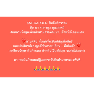 ( Live) [ตัวเลือก] NAAKกลูโฟซิเนต4ลิตร ยาฉีดหญ้า ทนฝน กลูโฟซิเนตแอมโมเนียม ป้องกันวัชพืชแบบใบแคบ และใบกว้าง