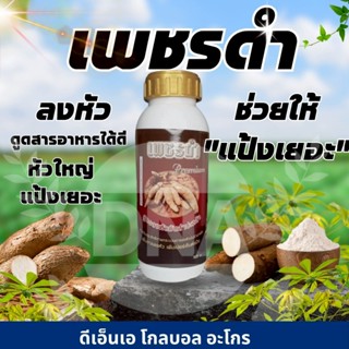 เพชดำลงหัว เพิ่มแป้งในหัว เพิ่มการผลิตแป้ง ขนาด 500 และ 1000…