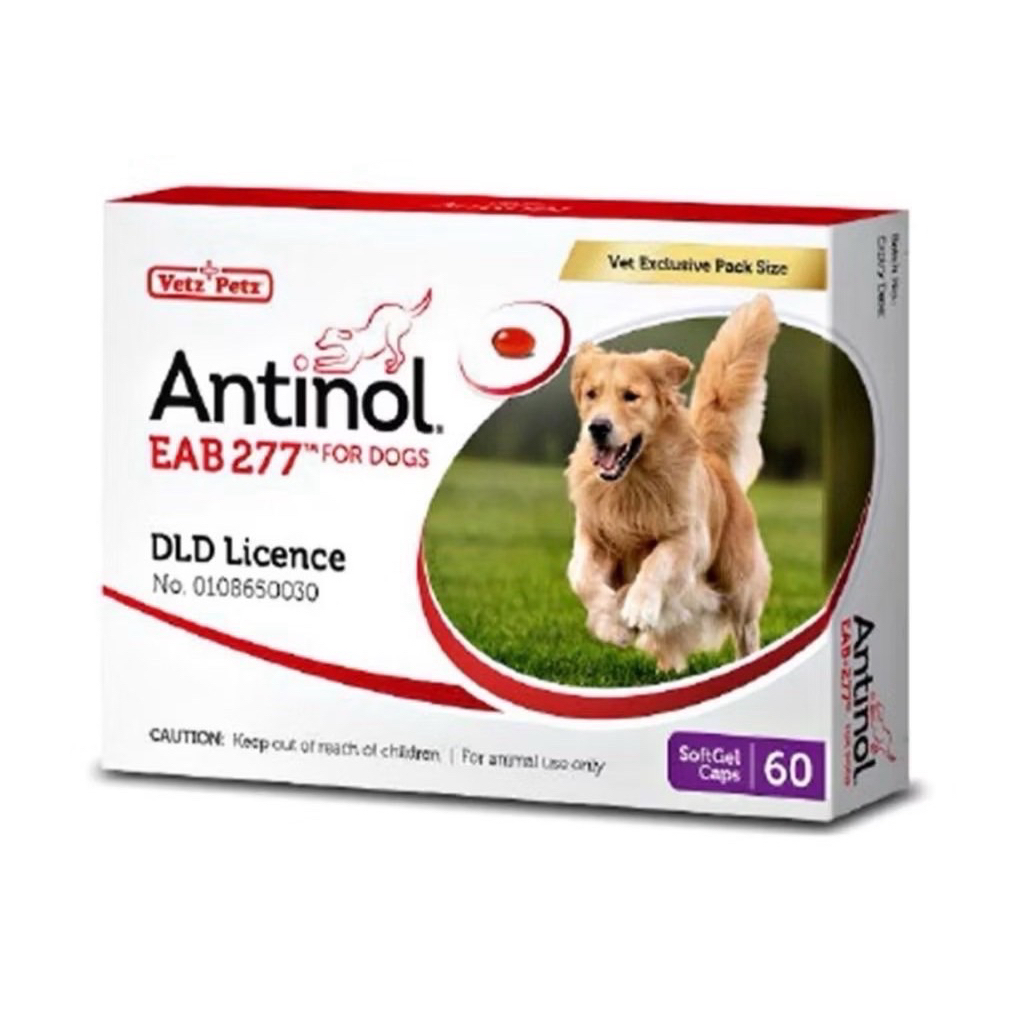 Antinol® แอนทีนอล EAB 277™ 60 แคปซูล