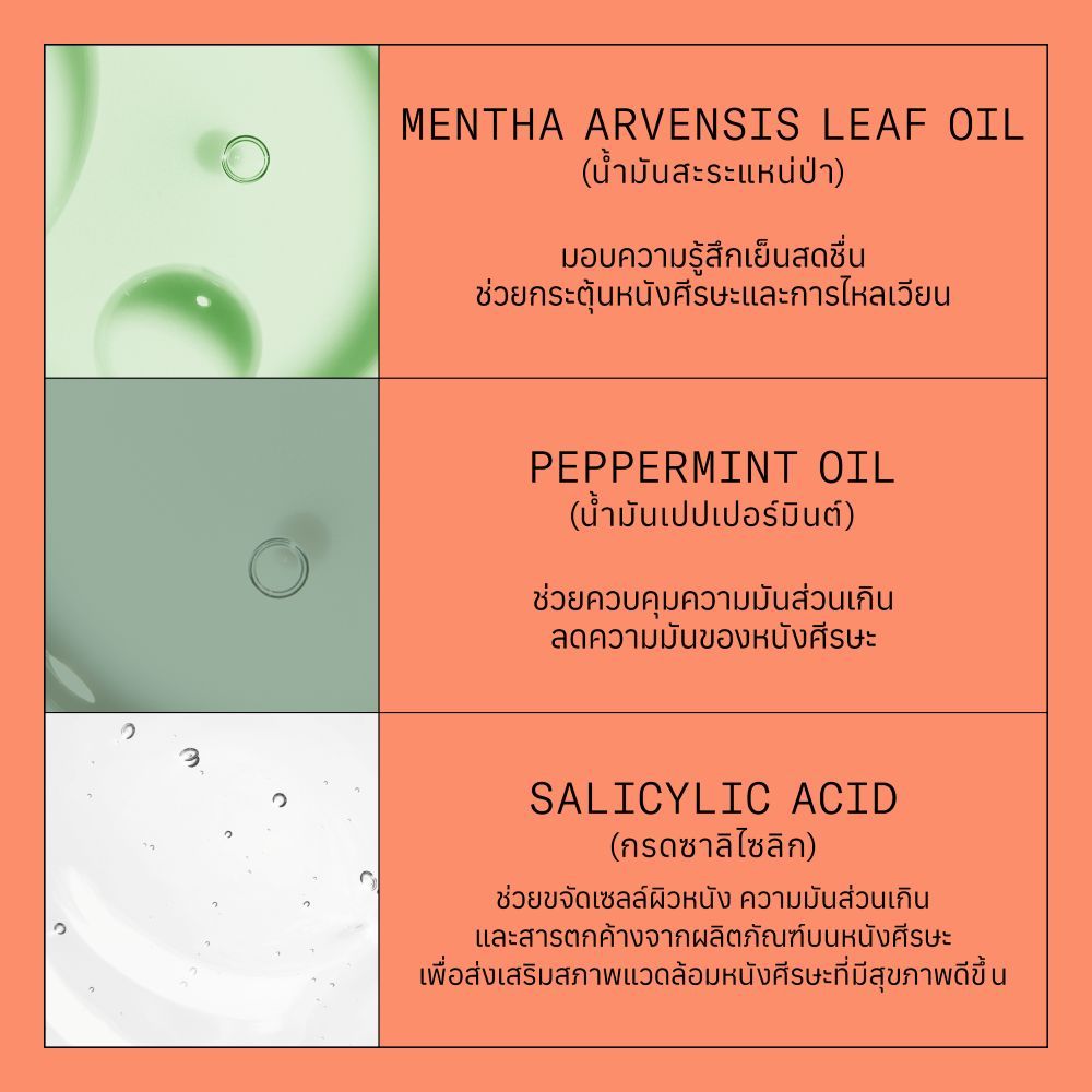 NIOXIN System 4 Shampoo สำหรับผมบางชัดเจน ผมทำสี/ดัด-ยืด/ฟอก 300ml (ไนอ๊อกซิน แชมพูลดผมขาดหลุดร่วง ปกป้องสีผม) - รูปที่ 5