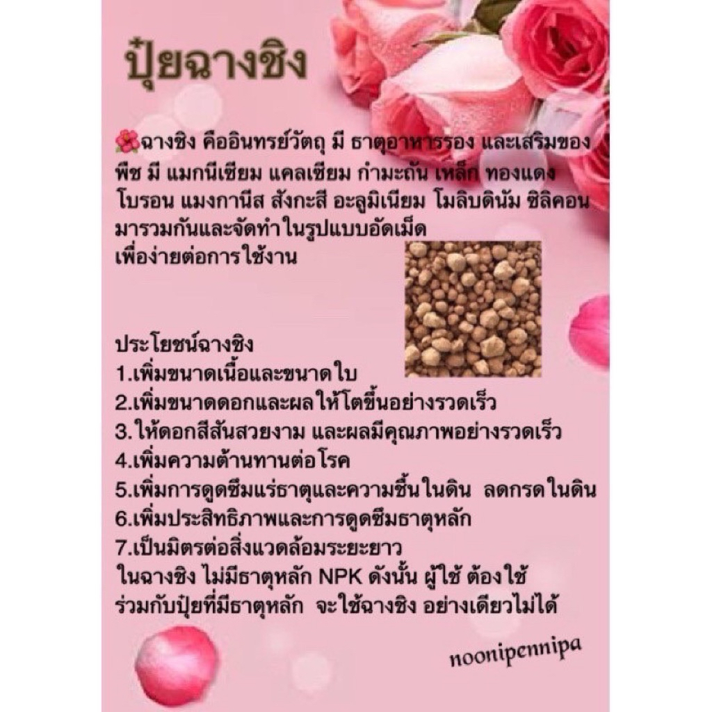 🌿ปุ๋ยฉางชิง ปุ๋ยใส่กุหลาบ เพิ่มขนาดใบ ให้สีดอกสวยงาม ปุ๋ยบำรุงราก ปุ๋ยบำรุงดิน ปรับสภาพดิน