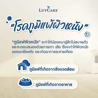 อาหารสุนัข Dr.LuvCare สำหรับสุนัขพันธุ์เล็ก เลิฟแคร์ ขนาด 2kg