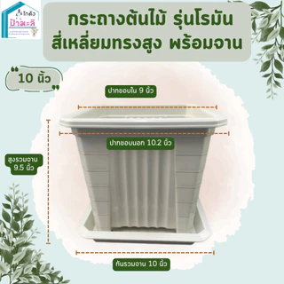 กระถางต้นไม้ รุ่นโรมัน สี่เหลี่ยม ทรงสูง พร้อมจาน ขนาด 7 นิ้ว 10 นิ้ว 14 นิ้ว