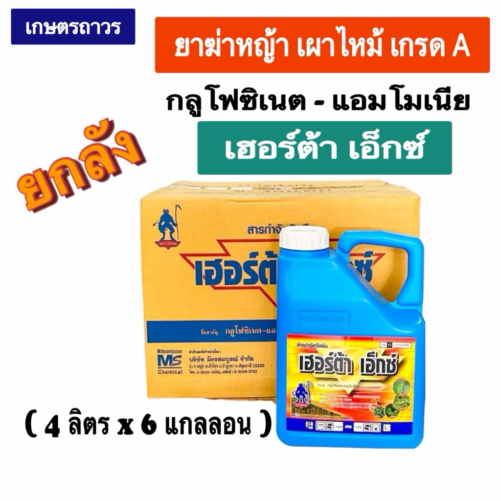 ￼เฮอร์ต้าเอ็กซ์🔥🔥ยกลัง(4ลิตร x6กล)สารกลูโฟซิเนตแอมโมเนียม ยาฆ่าหญ้าเผาไหม้เนื้อเกรดA สูตรพิเศษ หญ้าตายไว ตายดีมาก