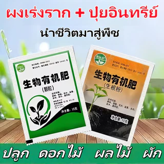 ปุ๋ยผงอินทรีย์ชีวภาพ เร่งการเจริญเติมโตของรากพืช ขนาด ไมคอร์ไรซ่า เร่งรากเห็นผลไว เพิ่มพื้นที่ผิวราก ลดการใช้ปุ๋ย