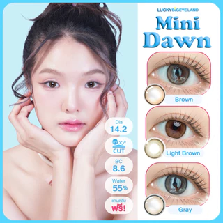 รุ่นวอนยอง IVE ⭐️ คอนแทคเลนส์ Mini Dawn Brown / Gray / Light Brown (Kitty Kawaii) ขนาดมินิ 🌷