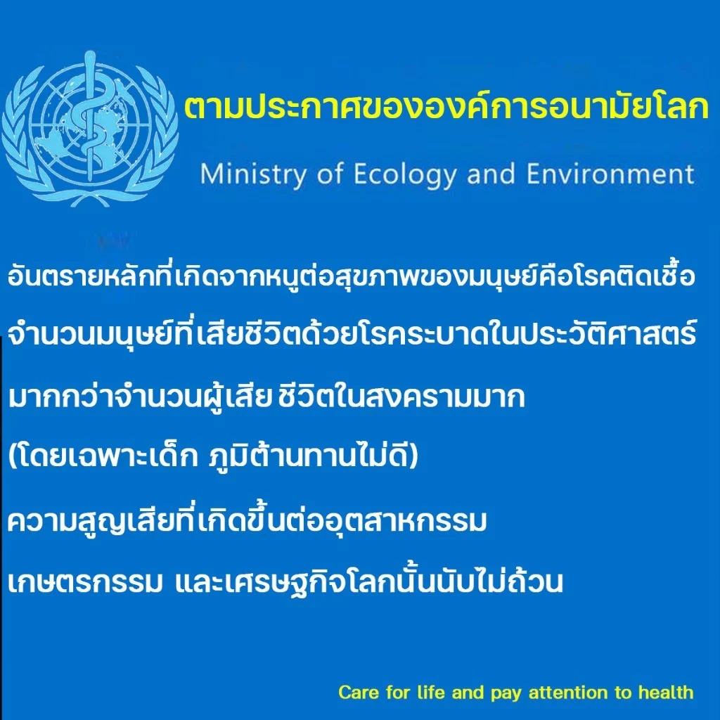 💥ปลอดหนูตลอดทั้งปี💥ยาเบื่อ หนู ตายไม่มีกลิ่นเหยื่อกำจัดหนู ยาเบื่อหนูแรง ยาเบื่อหนูเม็ด ฆ่าหนูในบ้าน  ยาเบื่อหนูบ้าน  ยา - รูปที่ 5