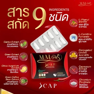 โปร 1 กล่อง MaiPlus Scap ใหม่พลัส เอสแคป ใหม่ พัชรี 1 กล่องมี 10 แคปซูล