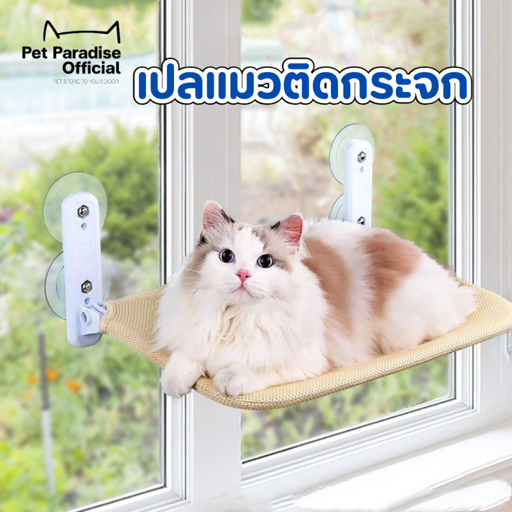 🌈PetParadise.th✨เปลแมวติดกระจก เปลแมว พับเก็บได้ ผ้าตาข่าย ระบายอากาศได้ดี