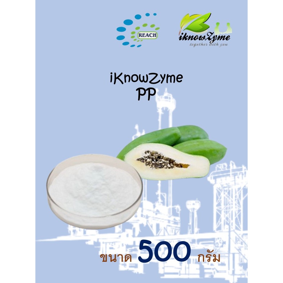 iKnowZyme PP เอนไซม์ปาเปน ขนาด 500 กรัม