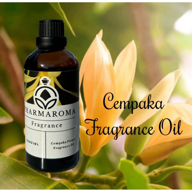 Campaka FragranceOil หัวน้ำหอมกลิ่นดอกจำปา หอมอย่างไทย ใช้บูชาพระ สรงน้ำพระ เพื่อความเป็นศิริมงคล