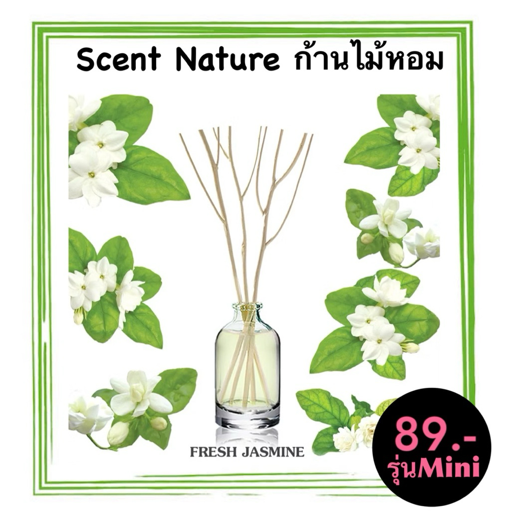 มินิไซด์ 15ml.กลิ่น Jasmine มะลิ ก้านไม้หอมปรับอากาศ SCENT NATURE