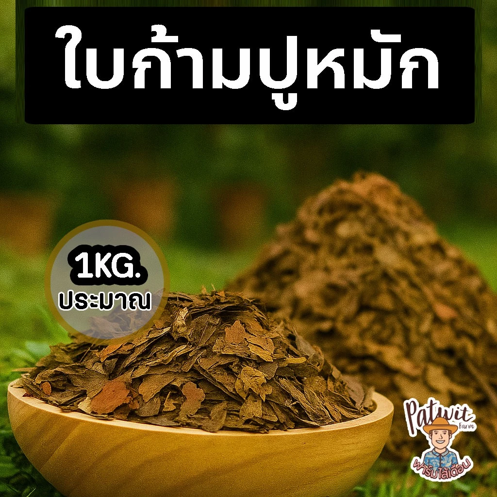 (2ถุง50)(15ถุงส่งฟรี)ใบก้ามปูหมัก ใบไม้ไม้หมัก ธรรมชาติ 1KG. ไนโครเจนสูง เพิ่มความร่วนซุย หมักแล้วพร้อมใช้