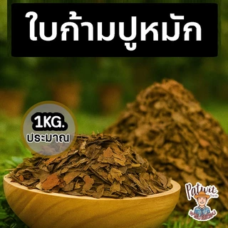 (2ถุง50)(15ถุงส่งฟรี)ใบก้ามปูหมัก ใบไม้ไม้หมัก ธรรมชาติ 1KG. ไนโครเจนสูง เพิ่มความร่วนซุย หมักแล้วพร้อมใช้