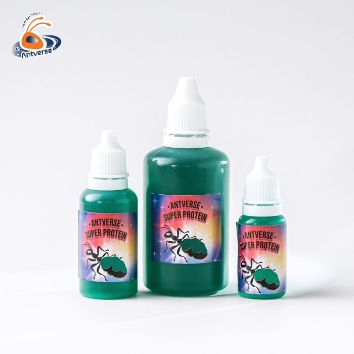 น้ำหวานโปรตีนสำหรับมด สูตรเร่งไข่ บำรุงตัวอ่อน Antverse Super Protein - รูปที่ 6