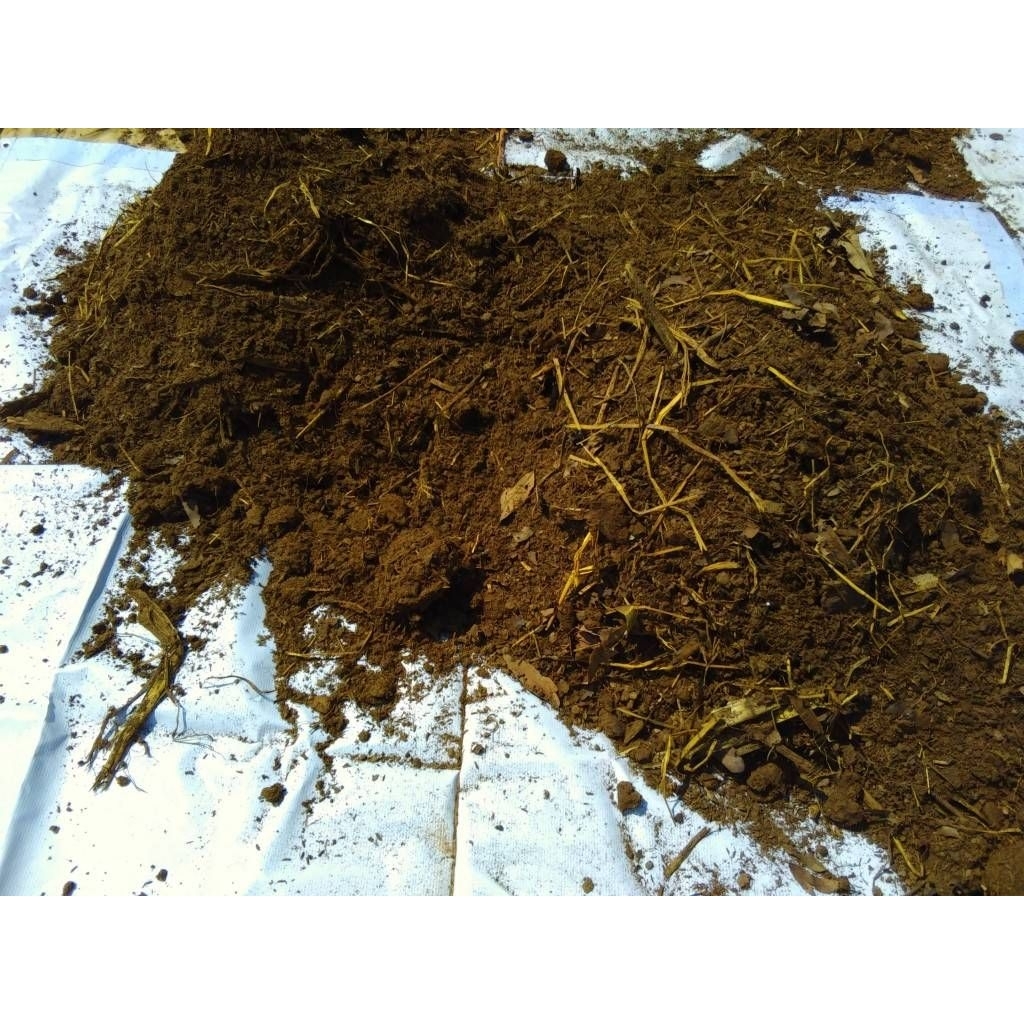 ขี้วัวแห้ง ปุ๋ยคอกจากธรรมชาติ แร่ธาตุไนโตรเจนสูง