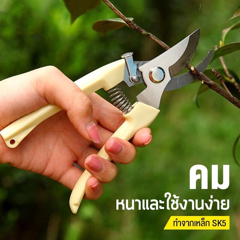 กรรไกรตัดแต่งต้นไม้ในสวน กรรไกรตัดแต่งกิ่งไม้อเนกประสงค์ เครื่องตัดแต่งกิ่งไม้