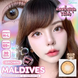 🔥 คอนแทคเลนส์ ✨ขนาดมินิ✨Maldives(Shinee) Brown / Gray / Blue
