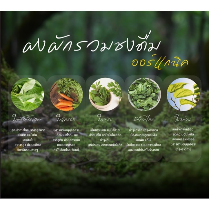 ผงผักรวม ชงดื่ม ออร์แกนิค คัดสรรวัตถุดิบคุณภาพ เหมาะชงดื่ม ดูแลไลฟ์สไตล์ในชีวิตประจำวัน - รูปที่ 2