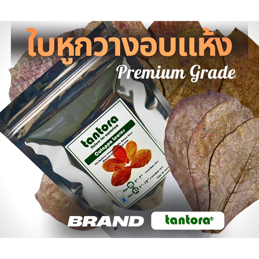 Tantora ใบหูกวางอบแห้ง เกรดพรีเมียม สำหรับกุ้งแคระ เรดบี ปลากัด อโรวาน่า มีแทนนิน ลดpH ลดเครียด เร่งสี ต่อต้านแบคทีเรีย